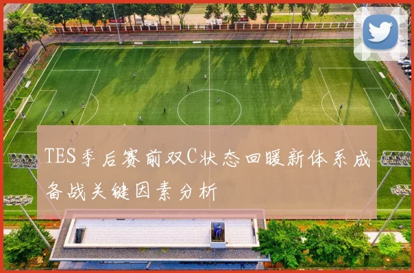 TES季后赛前双C状态回暖新体系成备战关键因素分析